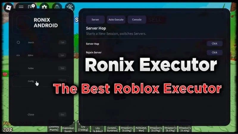 Menu Tùy Chỉnh Linh Hoạt Trong Ronix Executor